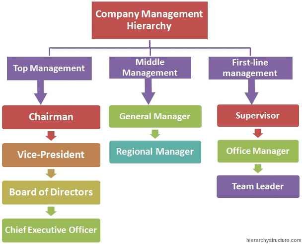 Company Management Hierarchy Structure | Hierarchy Structure